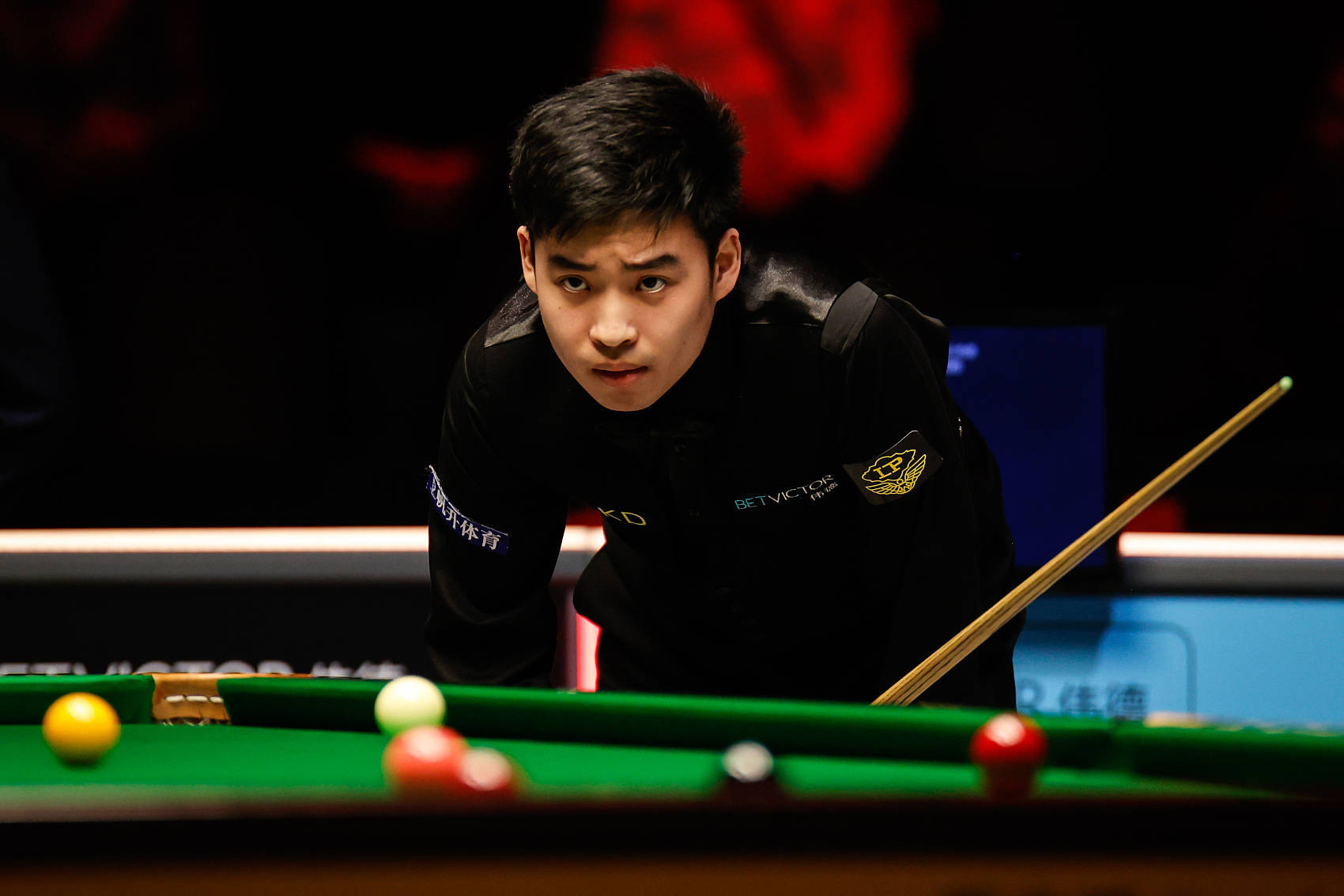 但是最近 但是最近