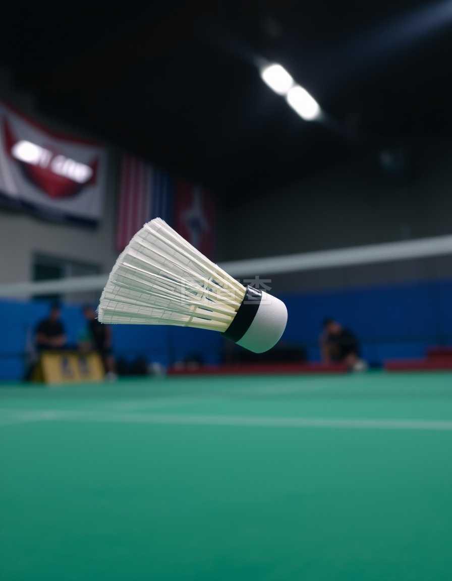 会申办成功 会申办成功