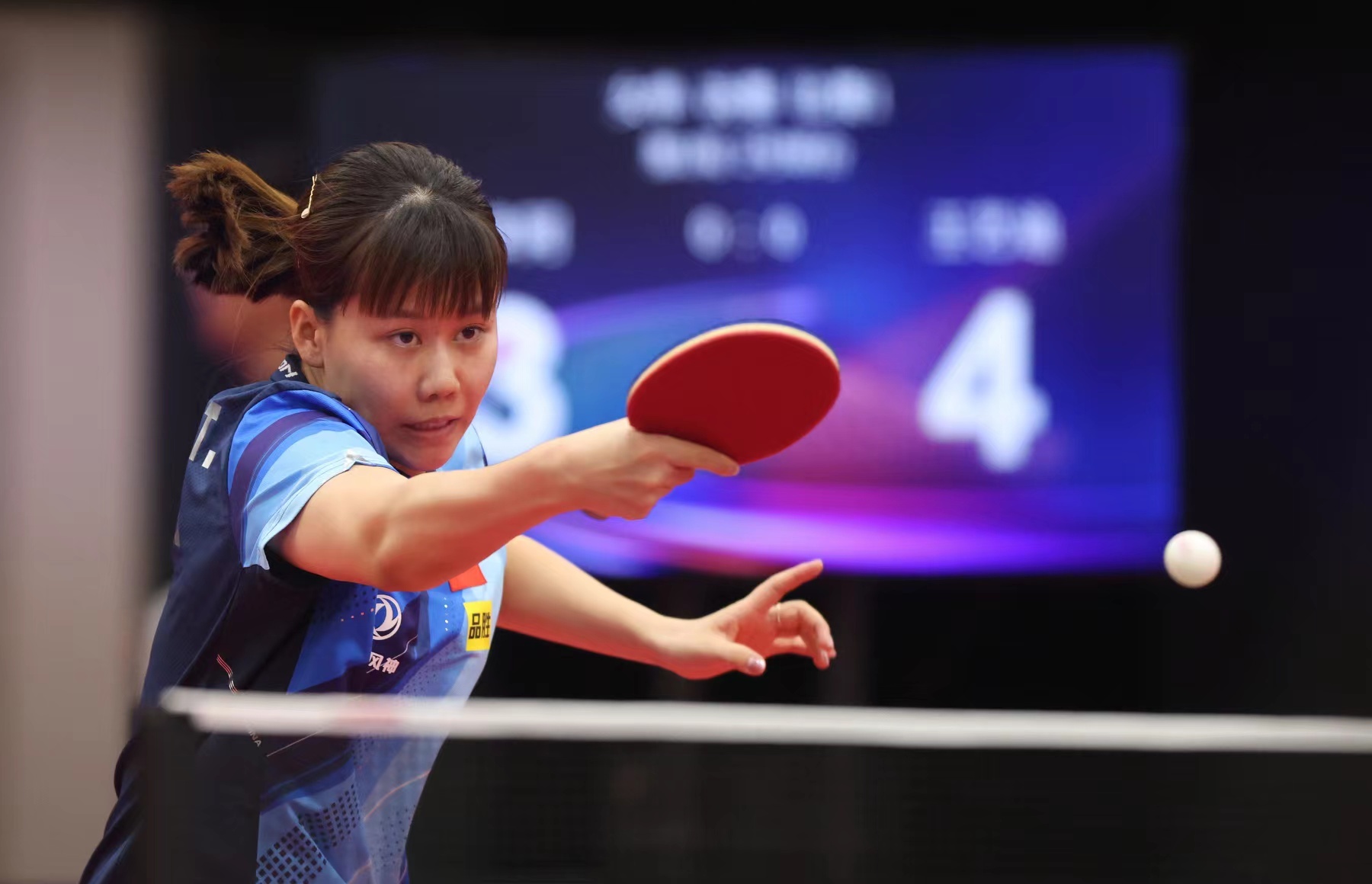 道崽则在 道崽则在